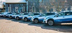 Fleet of blue cars