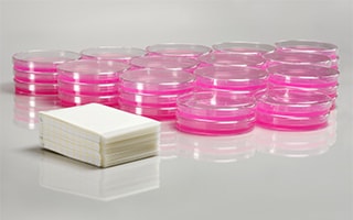 A photo of a stack of Petrifilm plates next to a much larger pile of petri dishes