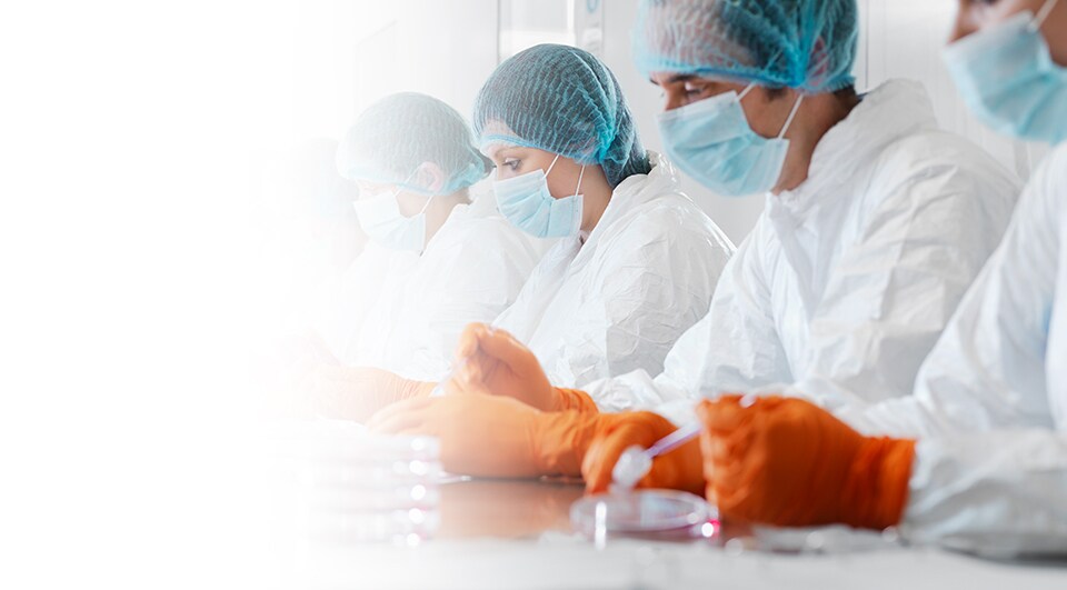 Stock image of scientists running tests in petri dishes
