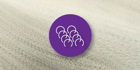 on over close up image of pigtail scratches
