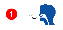 Identify the Hazards