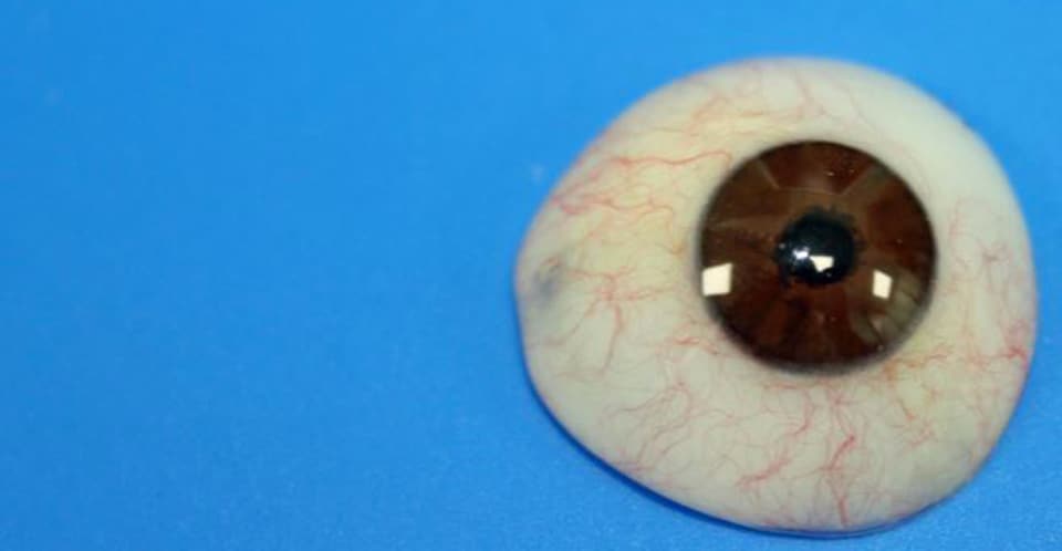 Image of an artificial eyeball.