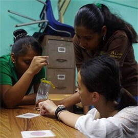 A teacher showing students how to interpret the results of Petrifilm tests