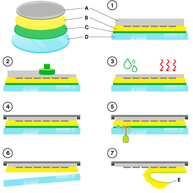 Step-by-step graphic of 3M's temporary bonding and debonding process flow for 3M's Wafer Support System.
