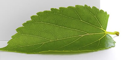 Regulatory Compliance
