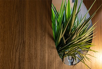 Dark wood patterned wall with greenery showing through round cutout
