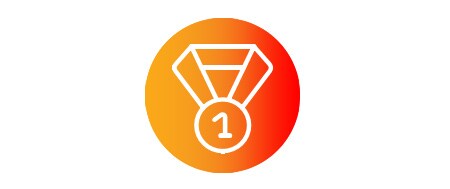 Medal icon
