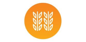 icon of wheat
