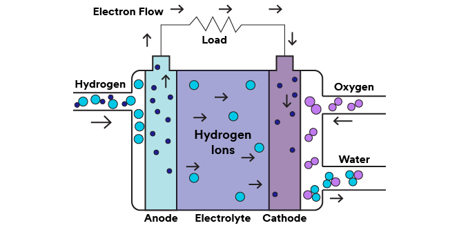 Diagram showing the functionality of a PEM fuel cell.
